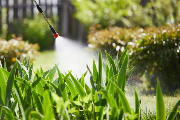 Tamper-Resistant Bait Stations for Rodents in Redfield