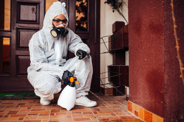 Attic and Crawl Space Rodent Treatment in Redfield